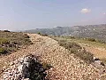 للبيع ارض 8 دنم ونص أرض مشغولة بشكل جيد👍👍👍
